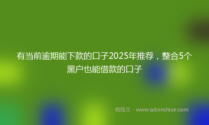 有当前逾期能下款的口子2025年推荐，整合5个黑户也能借款的口子