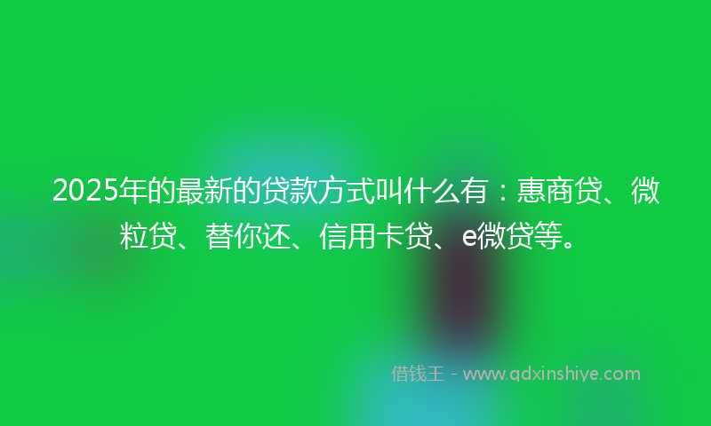 2025年的最新的贷款方式叫什么有：惠商贷、微粒贷、替你还、信用卡贷、e微贷等。