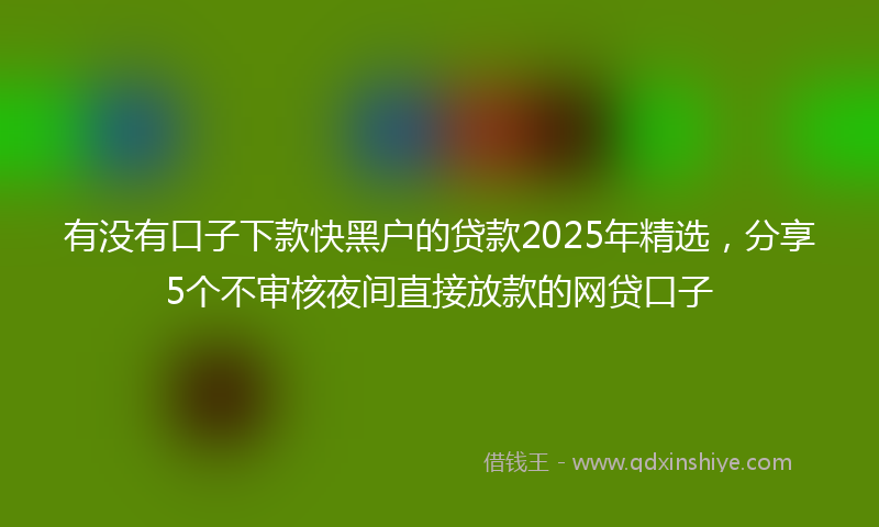 有没有口子下款快黑户的贷款2025年精选，分享5个不审核夜间直接放款的网贷口子