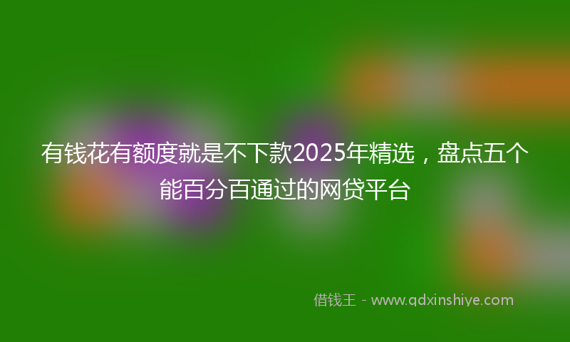 有钱花有额度就是不下款2025年精选，盘点五个能百分百通过的网贷平台