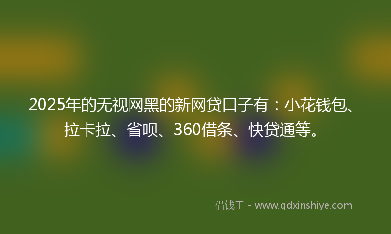 2025年的无视网黑的新网贷口子有：小花钱包、拉卡拉、省呗、360借条、快贷通等。