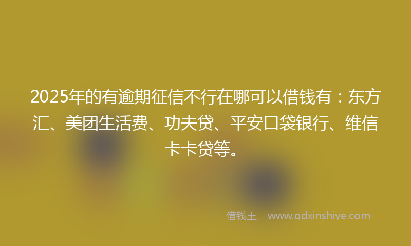2025年的有逾期征信不行在哪可以借钱有：东方汇、美团生活费、功夫贷、平安口袋银行、维信卡卡贷等。