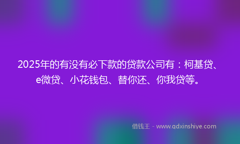 2025年的有没有必下款的贷款公司有：柯基贷、e微贷、小花钱包、替你还、你我贷等。