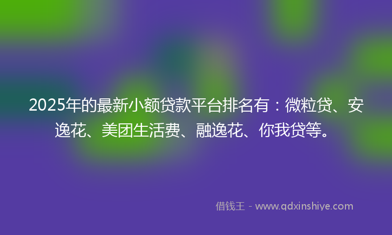 2025年的最新小额贷款平台排名有：微粒贷、安逸花、美团生活费、融逸花、你我贷等。