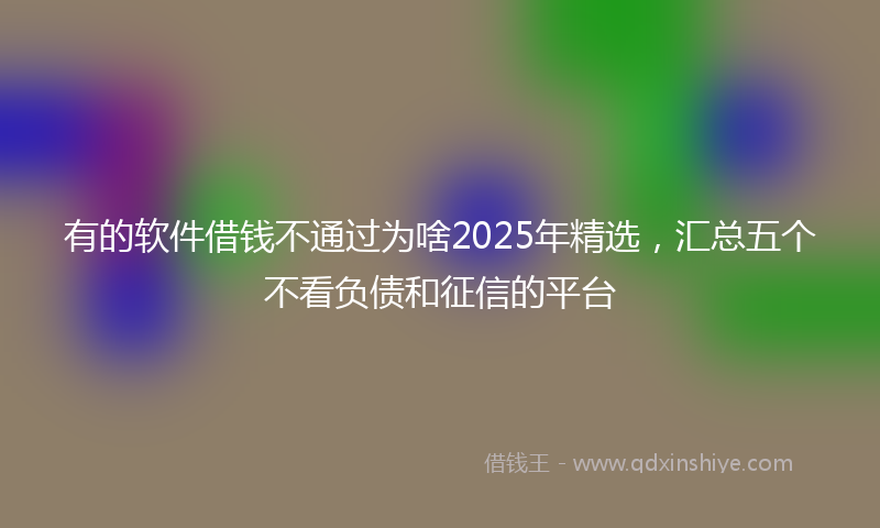 有的软件借钱不通过为啥2025年精选，汇总五个不看负债和征信的平台
