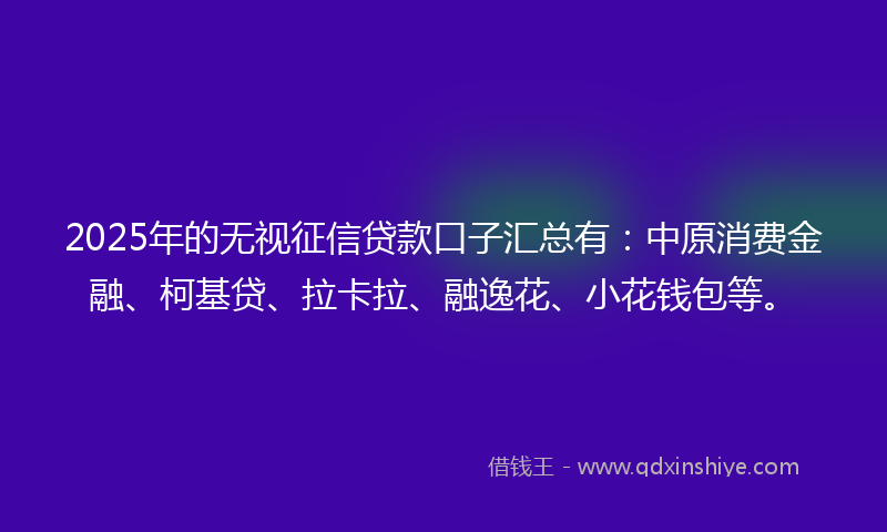2025年的无视征信贷款口子汇总有：中原消费金融、柯基贷、拉卡拉、融逸花、小花钱包等。