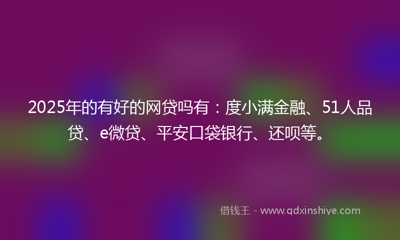 2025年的有好的网贷吗有：度小满金融、51人品贷、e微贷、平安口袋银行、还呗等。