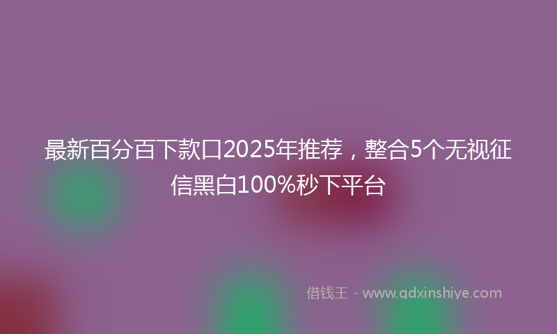 最新百分百下款口2025年推荐，整合5个无视征信黑白100%秒下平台