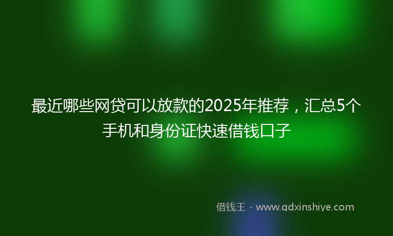 最近哪些网贷可以放款的2025年推荐，汇总5个手机和身份证快速借钱口子