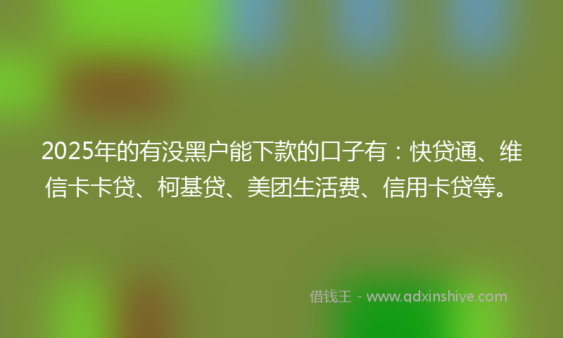 2025年的有没黑户能下款的口子有：快贷通、维信卡卡贷、柯基贷、美团生活费、信用卡贷等。
