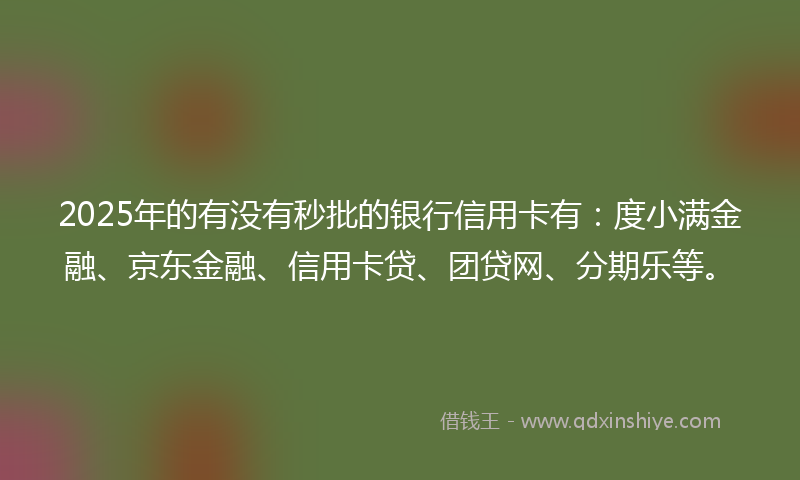 2025年的有没有秒批的银行信用卡有：度小满金融、京东金融、信用卡贷、团贷网、分期乐等。