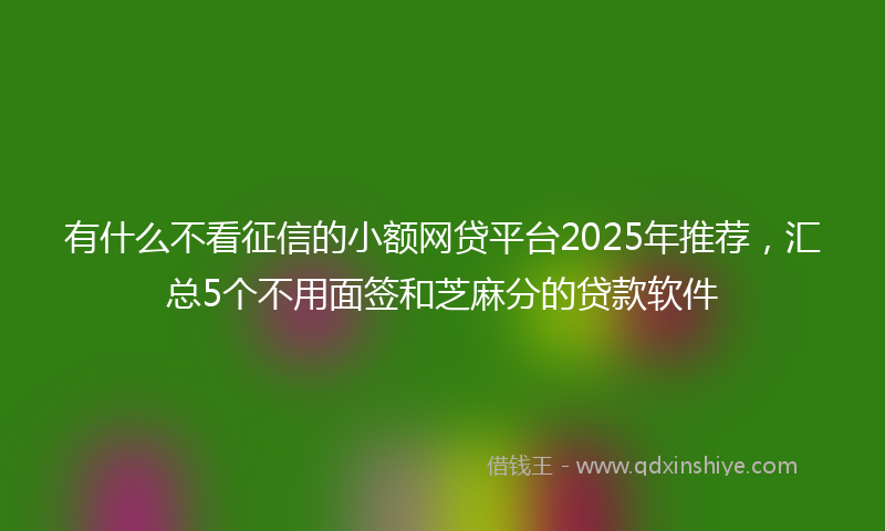 有什么不看征信的小额网贷平台2025年推荐，汇总5个不用面签和芝麻分的贷款软件