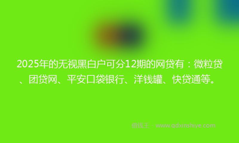 2025年的无视黑白户可分12期的网贷有：微粒贷、团贷网、平安口袋银行、洋钱罐、快贷通等。