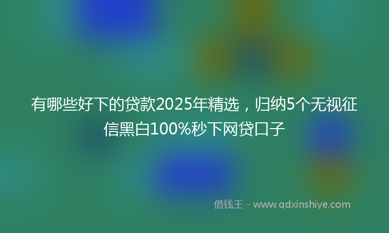 有哪些好下的贷款2025年精选，归纳5个无视征信黑白100%秒下网贷口子
