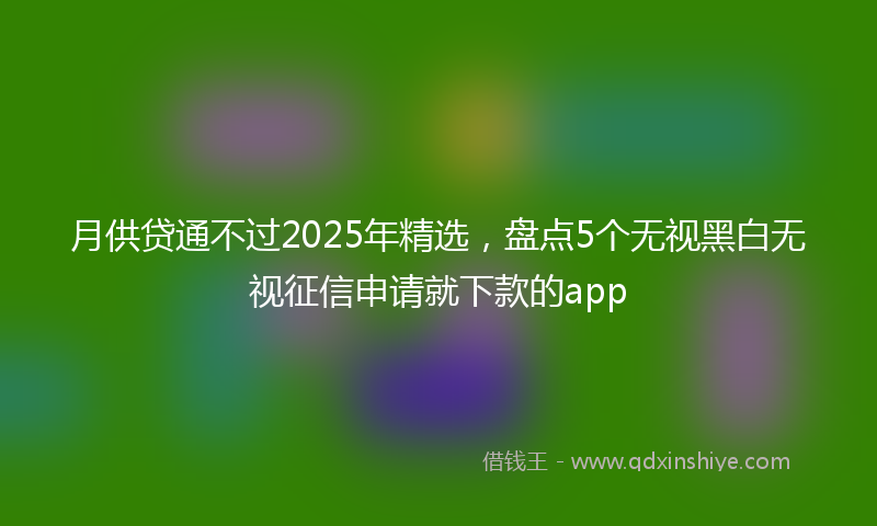 月供贷通不过2025年精选，盘点5个无视黑白无视征信申请就下款的app