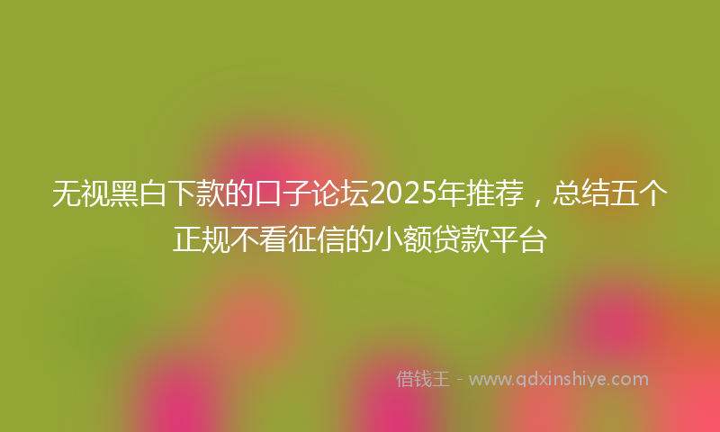 无视黑白下款的口子论坛2025年推荐，总结五个正规不看征信的小额贷款平台