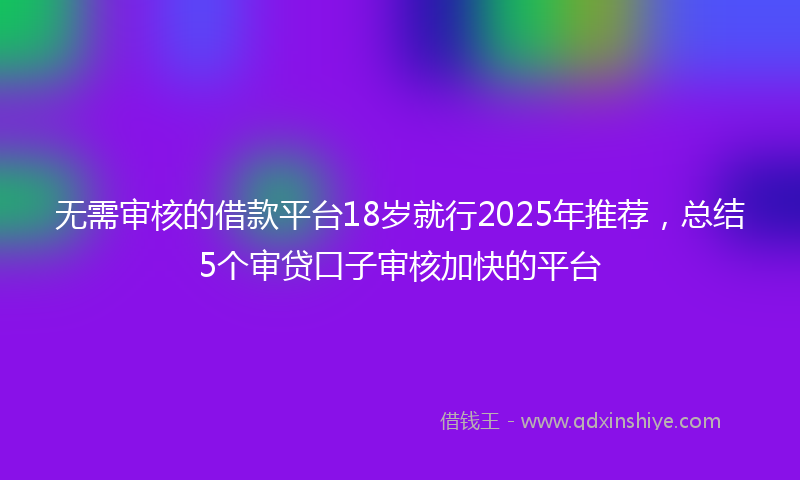 无需审核的借款平台18岁就行2025年推荐，总结5个审贷口子审核加快的平台