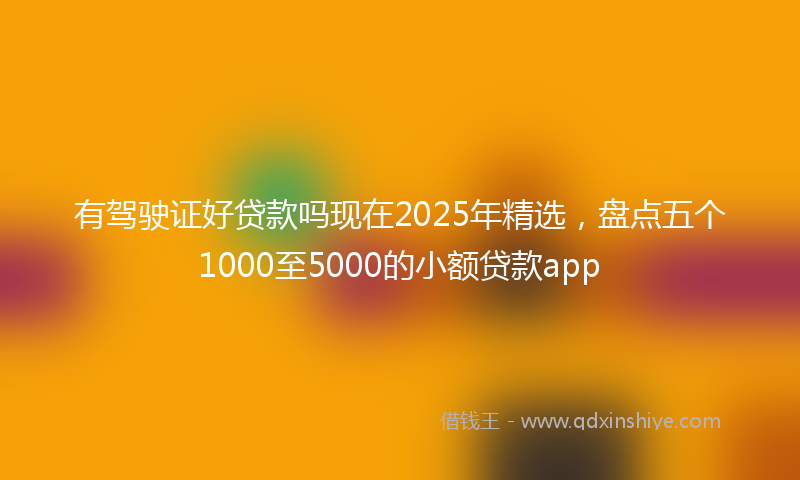 有驾驶证好贷款吗现在2025年精选，盘点五个1000至5000的小额贷款app