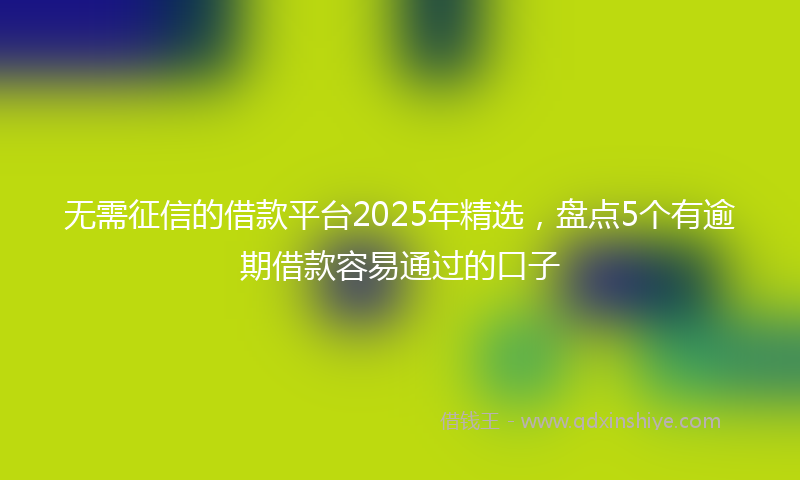 无需征信的借款平台2025年精选，盘点5个有逾期借款容易通过的口子