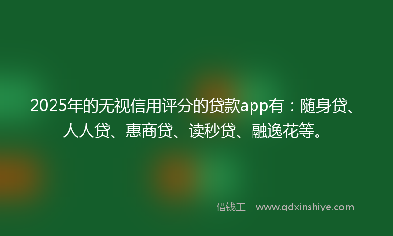 2025年的无视信用评分的贷款app有：随身贷、人人贷、惠商贷、读秒贷、融逸花等。