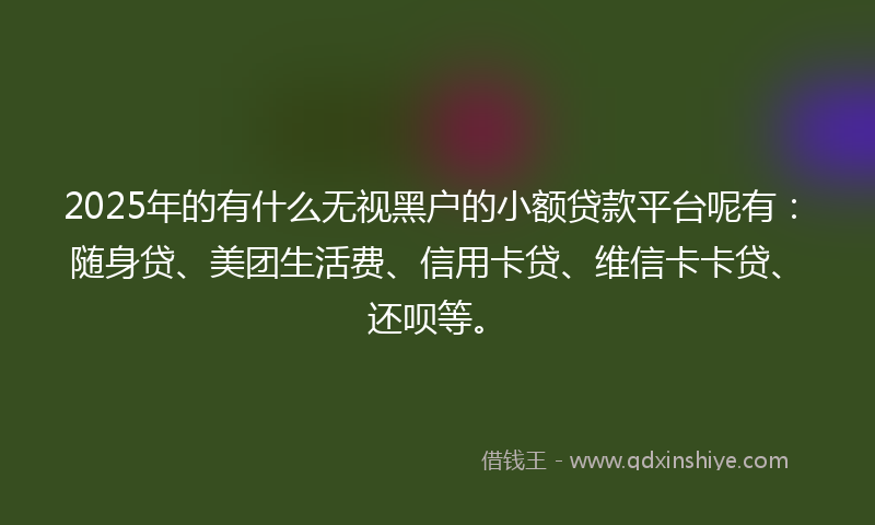 2025年的有什么无视黑户的小额贷款平台呢有：随身贷、美团生活费、信用卡贷、维信卡卡贷、还呗等。