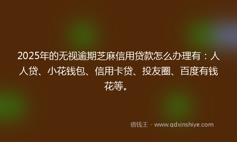 2025年的无视逾期芝麻信用贷款怎么办理有：人人贷、小花钱包、信用卡贷、投友圈、百度有钱花等。
