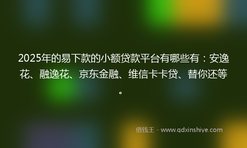 2025年的易下款的小额贷款平台有哪些有：安逸花、融逸花、京东金融、维信卡卡贷、替你还等。