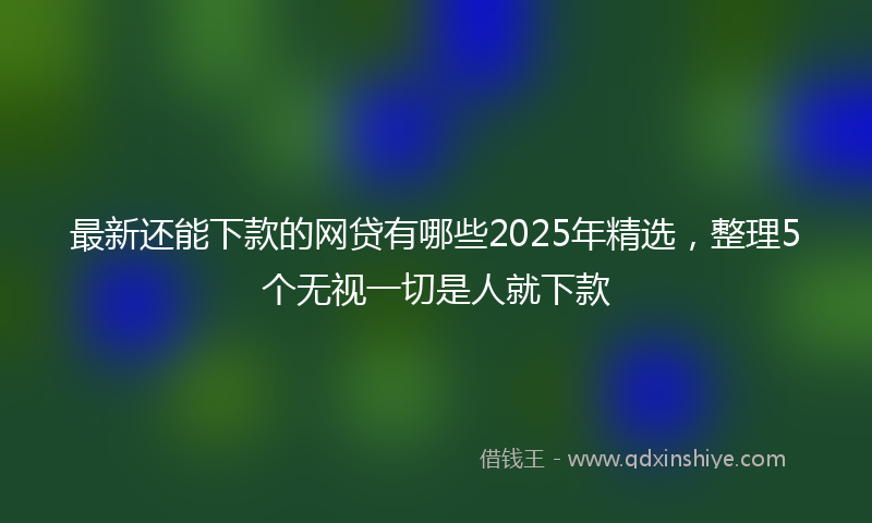 最新还能下款的网贷有哪些2025年精选，整理5个无视一切是人就下款