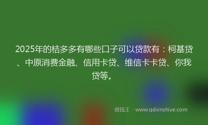 2025年的桔多多有哪些口子可以贷款有：柯基贷、中原消费金融、信用卡贷、维信卡卡贷、你我贷等。