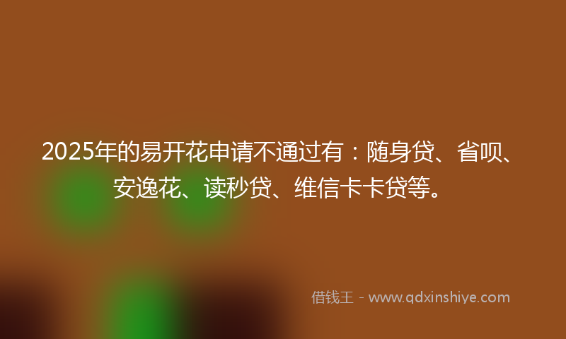 2025年的易开花申请不通过有：随身贷、省呗、安逸花、读秒贷、维信卡卡贷等。
