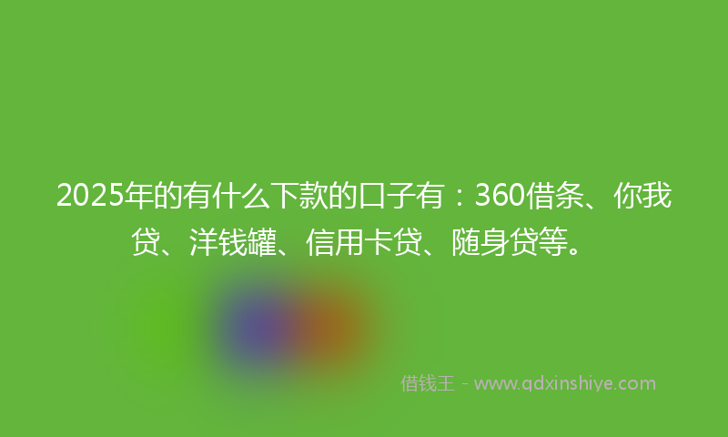 2025年的有什么下款的口子有：360借条、你我贷、洋钱罐、信用卡贷、随身贷等。