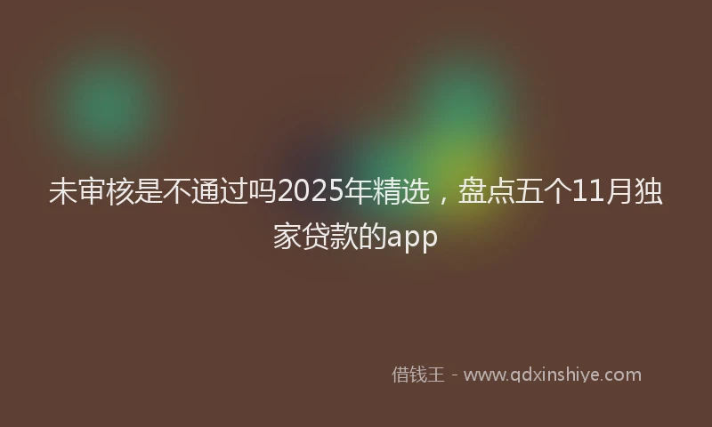 未审核是不通过吗2025年精选，盘点五个11月独家贷款的app