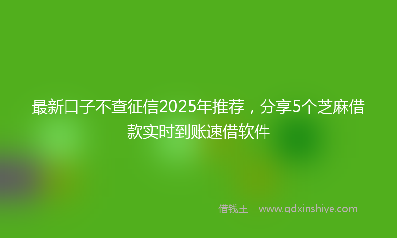 最新口子不查征信2025年推荐，分享5个芝麻借款实时到账速借软件