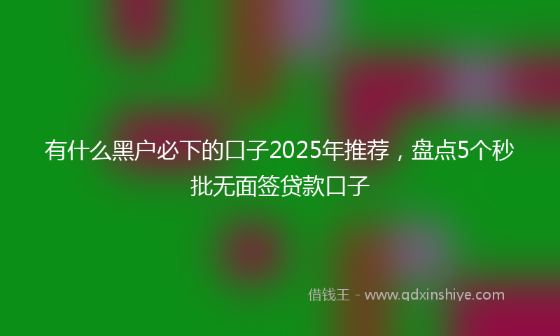 有什么黑户必下的口子2025年推荐，盘点5个秒批无面签贷款口子
