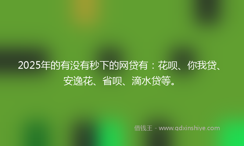 2025年的有没有秒下的网贷有：花呗、你我贷、安逸花、省呗、滴水贷等。