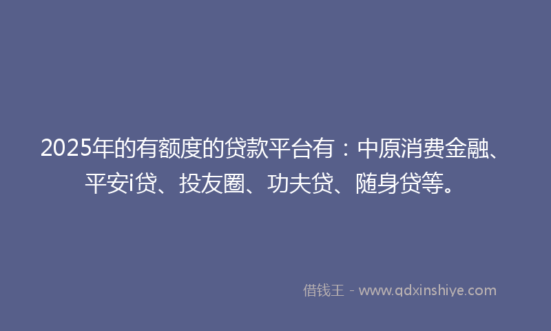 2025年的有额度的贷款平台有：中原消费金融、平安i贷、投友圈、功夫贷、随身贷等。