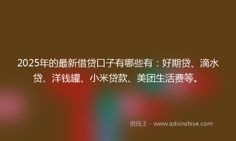 2025年的最新借贷口子有哪些有：好期贷、滴水贷、洋钱罐、小米贷款、美团生活费等。