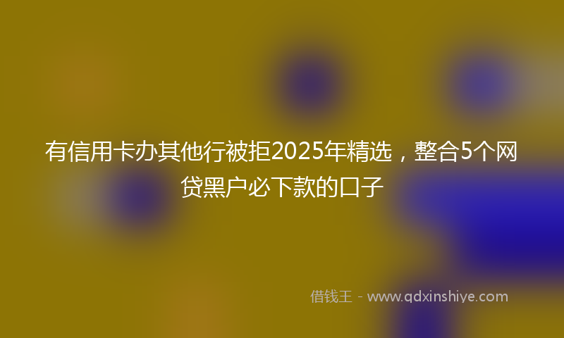 有信用卡办其他行被拒2025年精选，整合5个网贷黑户必下款的口子