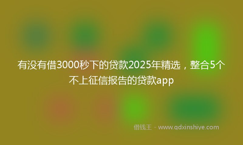 有没有借3000秒下的贷款2025年精选，整合5个不上征信报告的贷款app