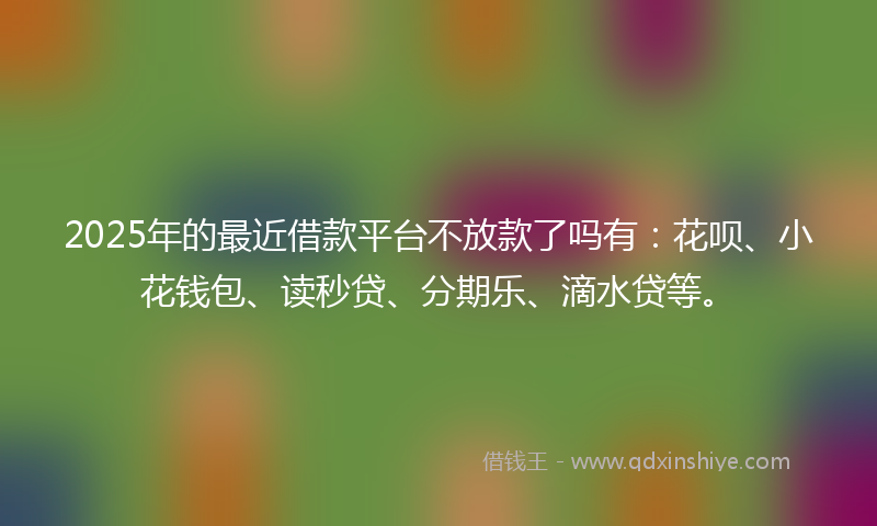 2025年的最近借款平台不放款了吗有：花呗、小花钱包、读秒贷、分期乐、滴水贷等。