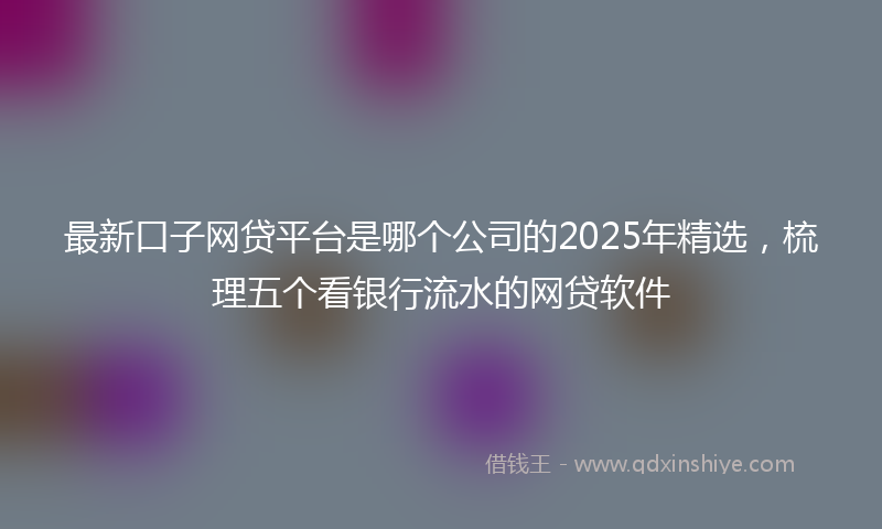 最新口子网贷平台是哪个公司的2025年精选，梳理五个看银行流水的网贷软件