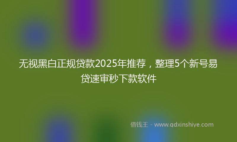 无视黑白正规贷款2025年推荐，整理5个新号易贷速审秒下款软件