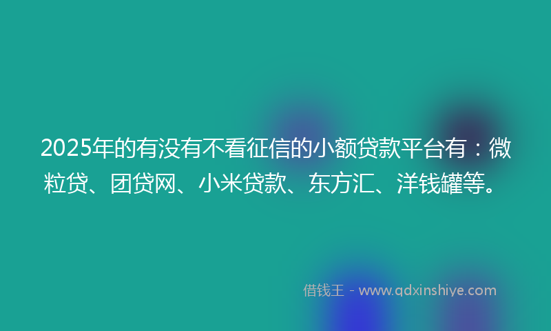 2025年的有没有不看征信的小额贷款平台有：微粒贷、团贷网、小米贷款、东方汇、洋钱罐等。