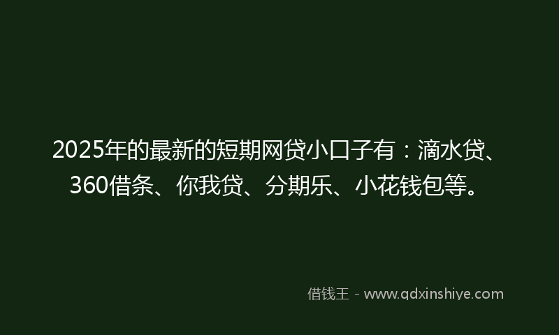 2025年的最新的短期网贷小口子有：滴水贷、360借条、你我贷、分期乐、小花钱包等。