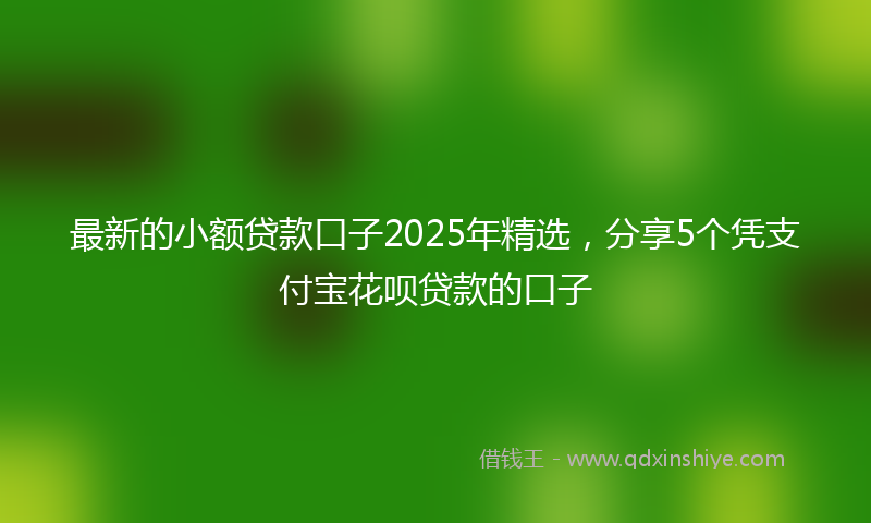 最新的小额贷款口子2025年精选，分享5个凭支付宝花呗贷款的口子