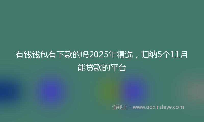 有钱钱包有下款的吗2025年精选，归纳5个11月能贷款的平台