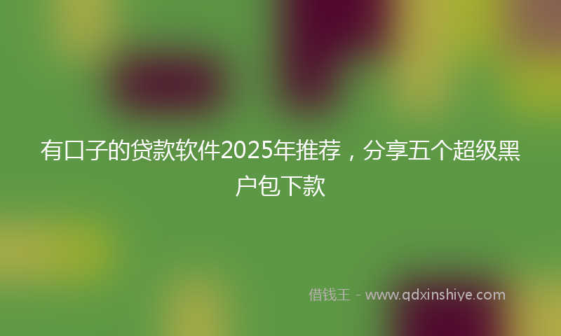有口子的贷款软件2025年推荐，分享五个超级黑户包下款