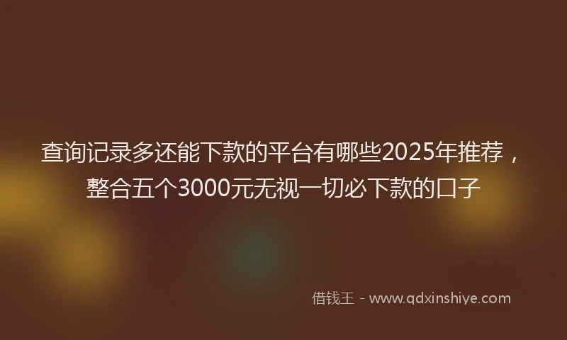 查询记录多还能下款的平台有哪些2025年推荐，整合五个3000元无视一切必下款的口子