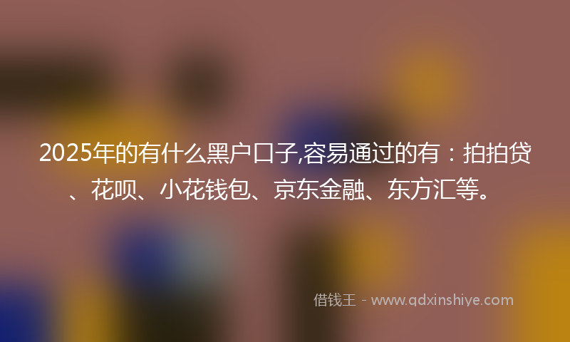 2025年的有什么黑户口子,容易通过的有：拍拍贷、花呗、小花钱包、京东金融、东方汇等。