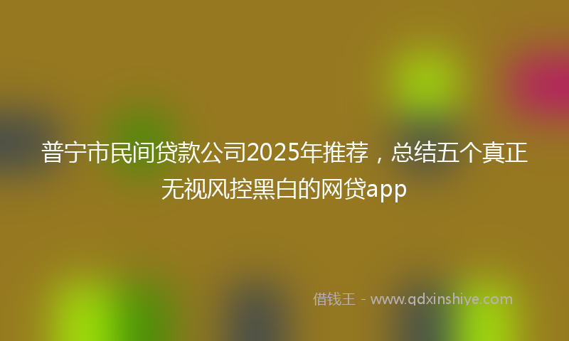 普宁市民间贷款公司2025年推荐，总结五个真正无视风控黑白的网贷app